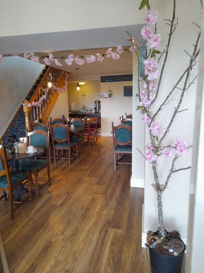 Rossaveel An Cheibh B&B מראה חיצוני תמונה